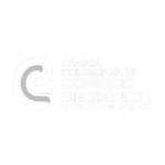 COMERCIO ELECTRONICO