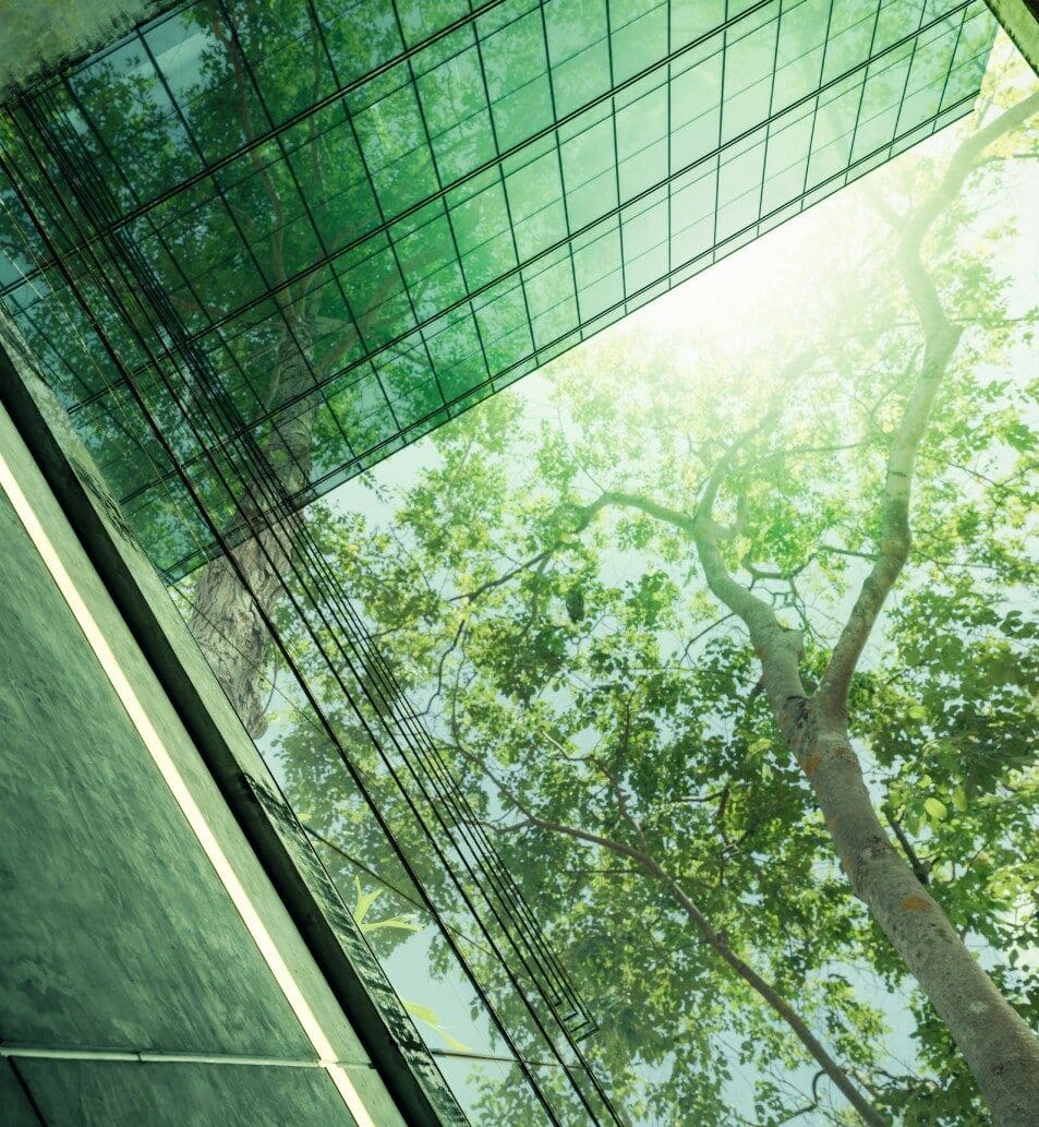 Gestión socioambiental y crecimiento responsable con Araujo Ibarra