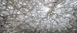 Araujo-Ibarra-Thinking-Arabia